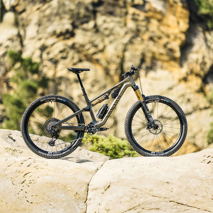 NEURON CF LTD