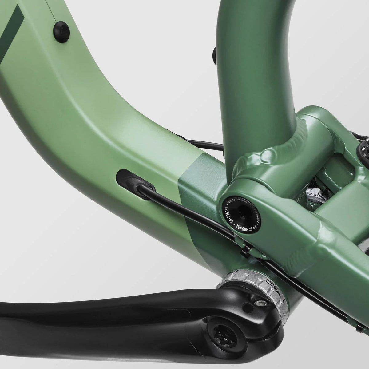 Neuron7 NEURON 7 – Canyon Cafe
