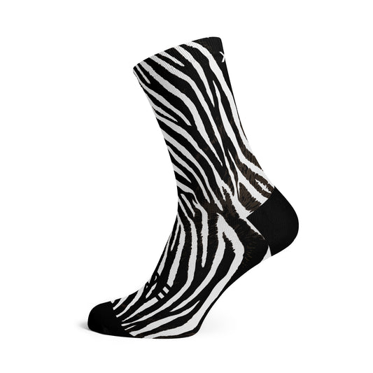 SOX Zebra