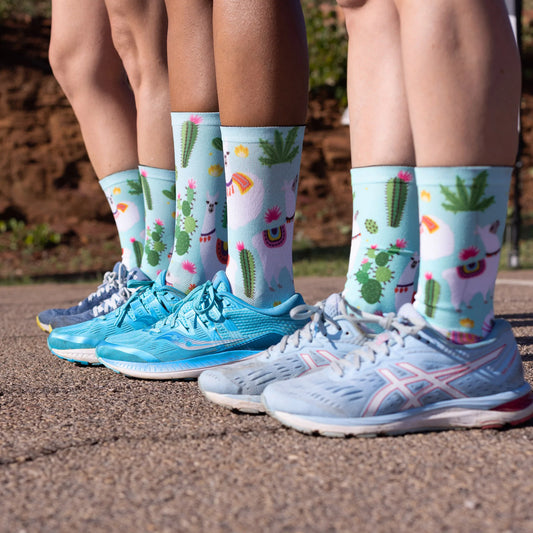 SOX Llama Socks