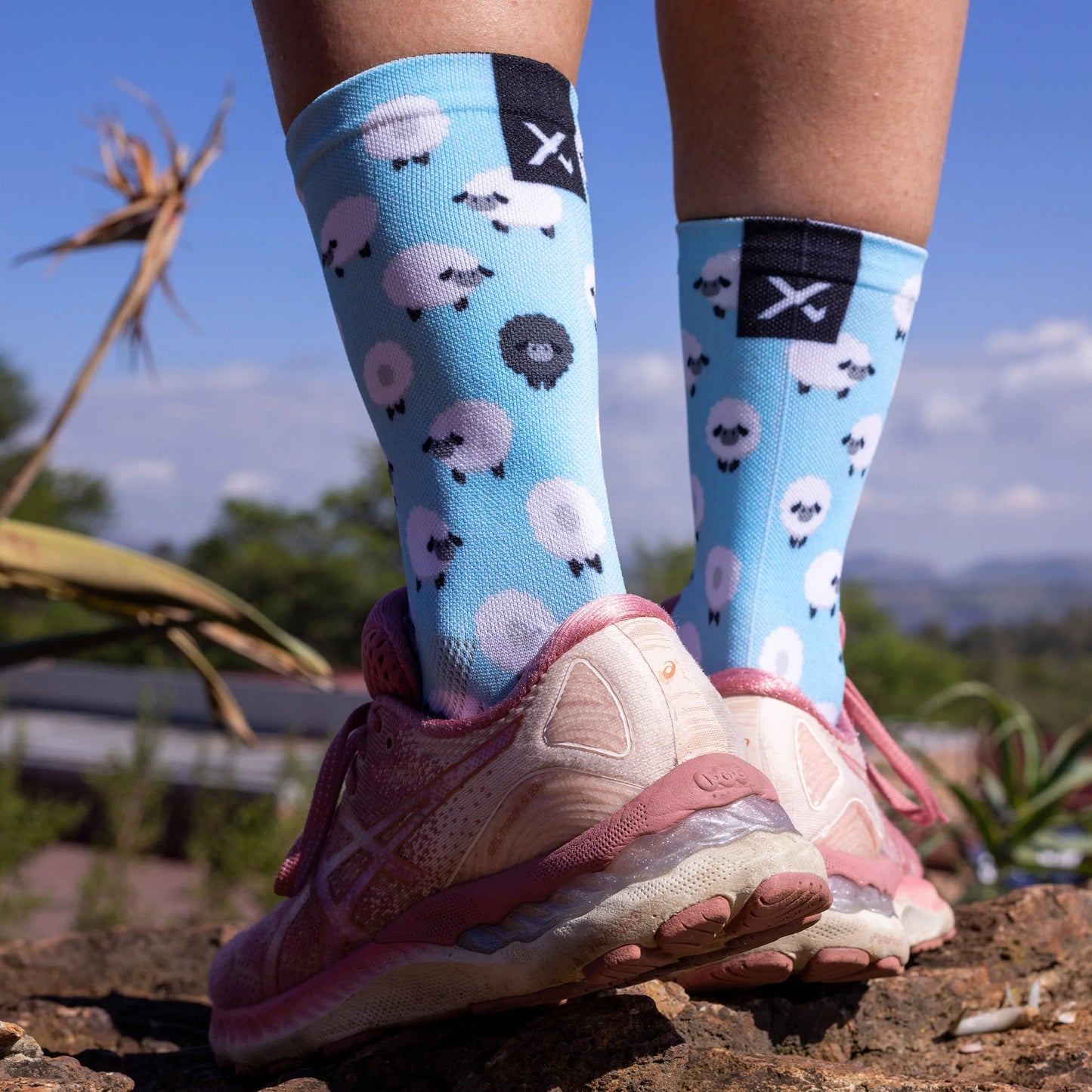 SOX Sheep Socks