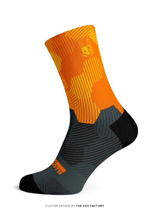 SOX Hasie and The Robots Collab Robo Rise